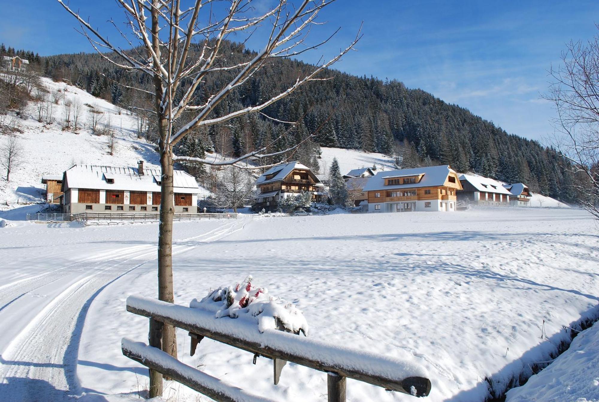 Biohof Seidl Apartamento Bad Kleinkirchheim Exterior foto