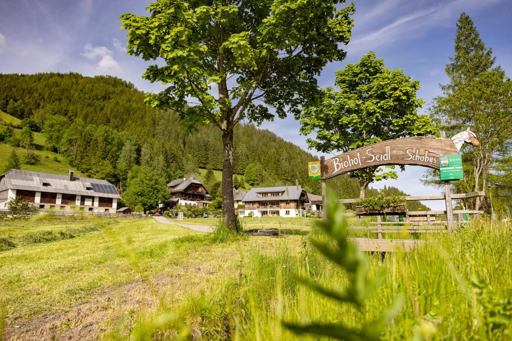 Biohof Seidl Apartamento Bad Kleinkirchheim Exterior foto